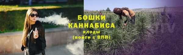 сатива Вязники