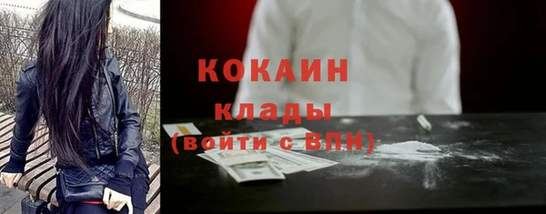 сатива Вязники