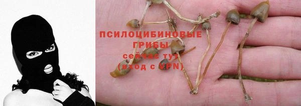 винт Вязьма