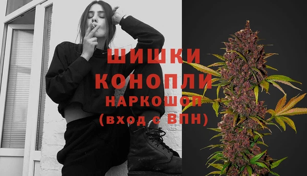 сатива Вязники