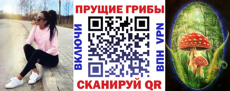 Купить закладки  Мглин  Галлюциногенные грибы Magic Shrooms 